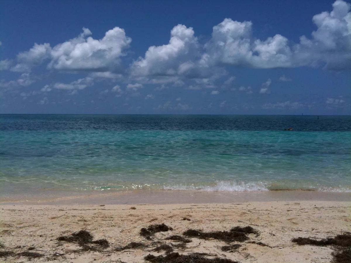 Photo taken on the beach at Dry Tortugas National Park, Southwest of Key West, FL