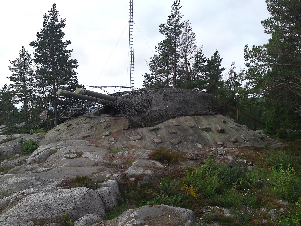 Hemsö fästning, Kanon