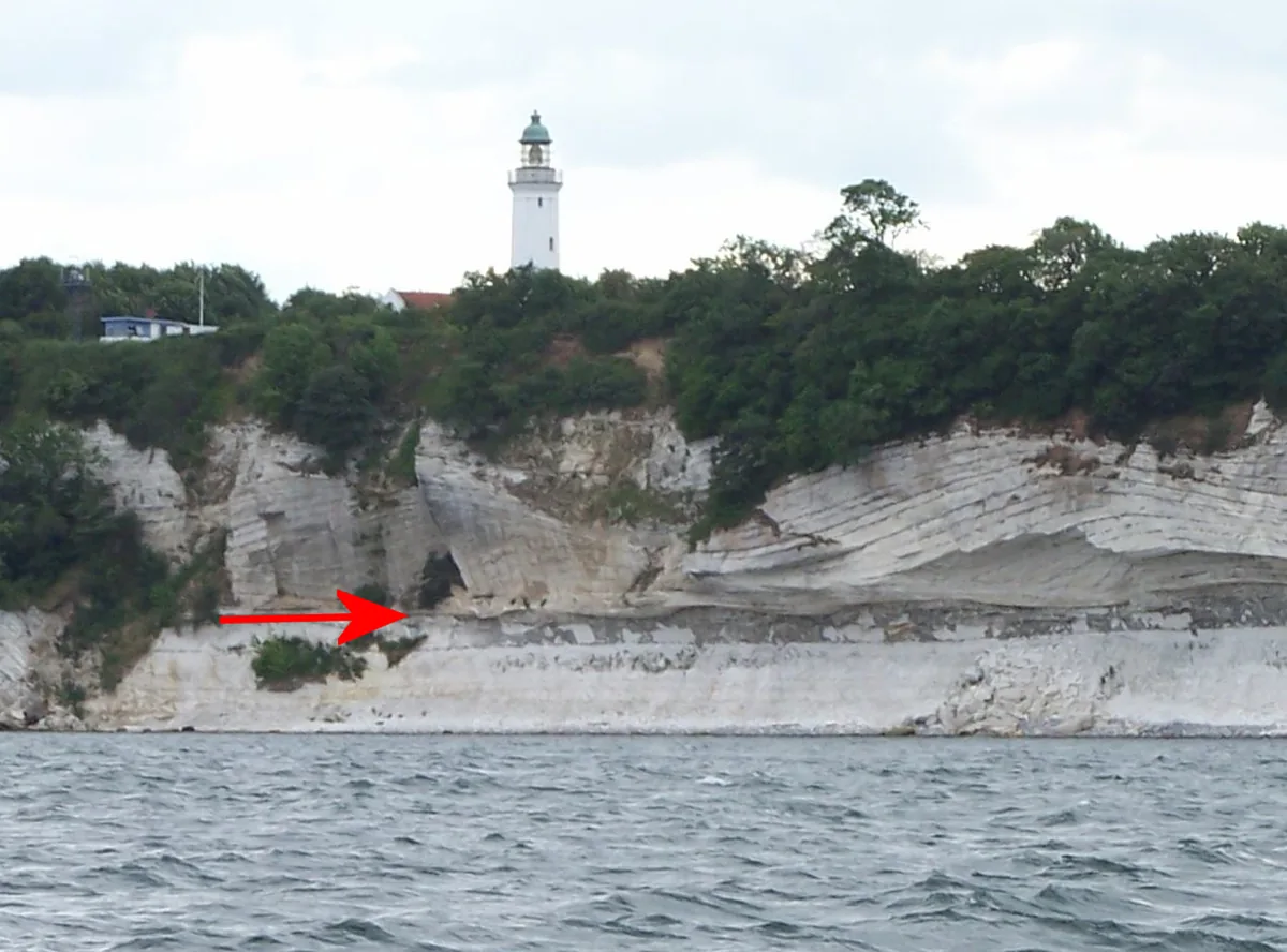 Stevns Cliffs